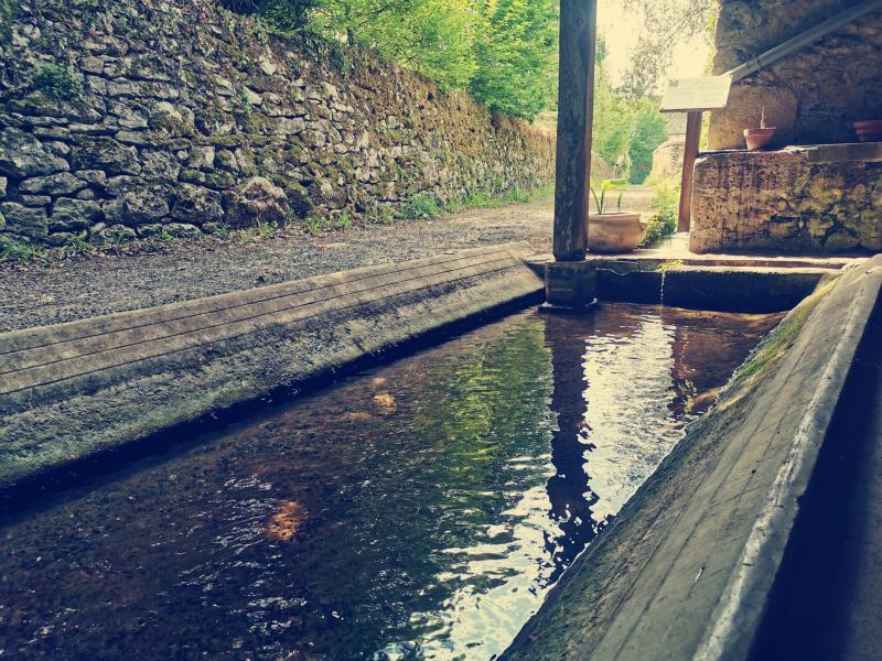 Le lavoir